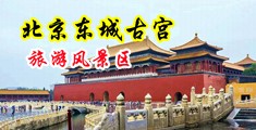 巨骚骚色中国北京-东城古宫旅游风景区