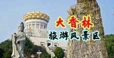 大鸡巴日大逼中国浙江-绍兴大香林旅游风景区
